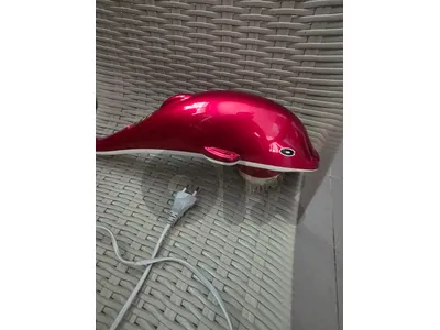 Dlophin shaped massager