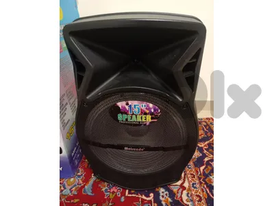 MEIRENDE speaker 15 inches