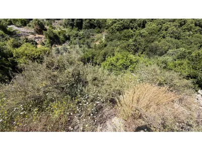 LAND FOR SALE IN RIHANE JBEIL WITH MOUNTAIN AND SEA VIEW