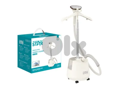 winning star steamer 2200w