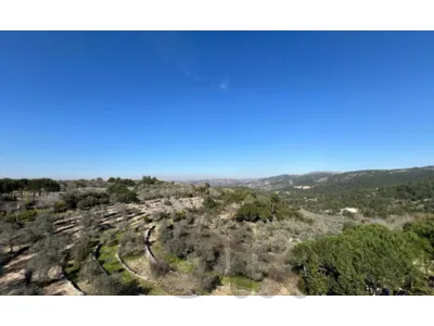 480 m2 duplex villa+garden/pool-open view 4sale in Chouf-ED88.V.1