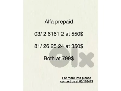 special phone numbers