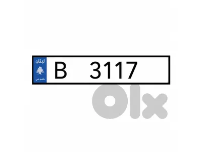 B 3117