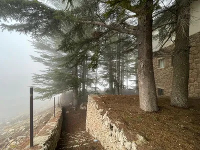 RWB196SN - Chalet for rent in Arz Becharreh