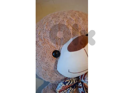 Teddy bear