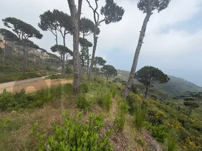 Land for Sale in Choueir  أرض للبيع في الشوير