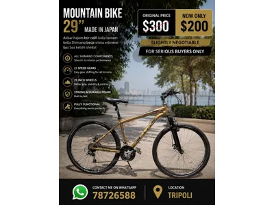 mountain bike 29"