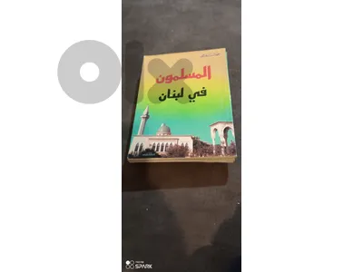 المسلمون في لبنان