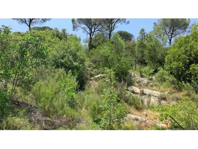 GMC106NY Land for sale in Salima - أرض للبيع في صليما GMC106NY Land for sale in Salima - أرض للبيع في صليما