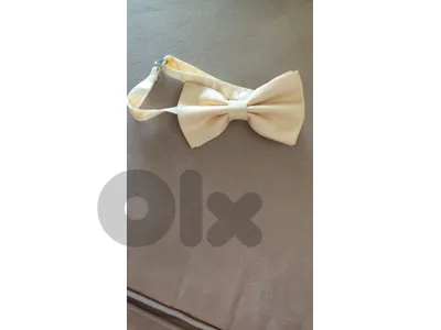 new bow
