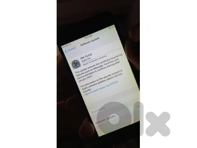 iphone 6