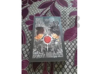 death note manga volume 10 and 13