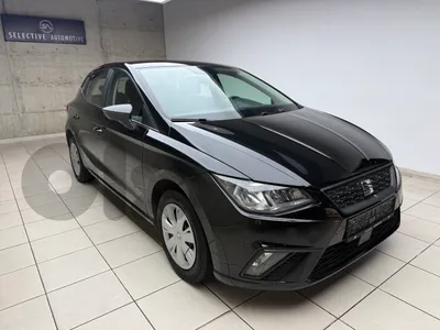 Seat Ibiza 2019 company source 1 Owner