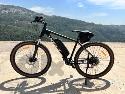 Welt Electric bicycle for Sale