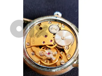enicar watch