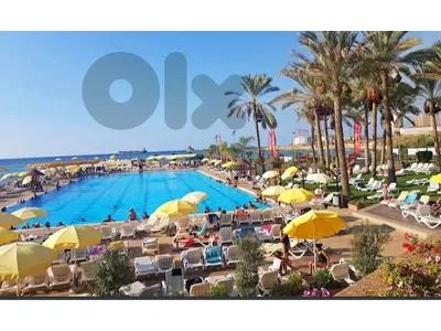 Hot Offer Rimal For Rent For The Whole Family For 6 Month Call 03606414