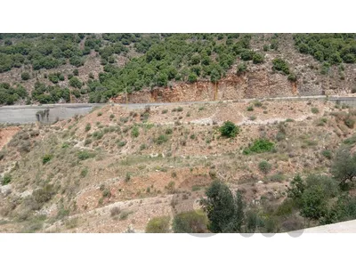 Land for sale in Haqel,jbeil