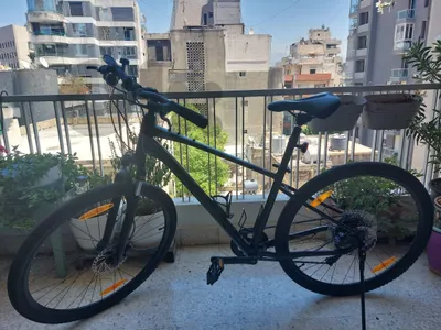 Giant Cypress 2 2022 size M