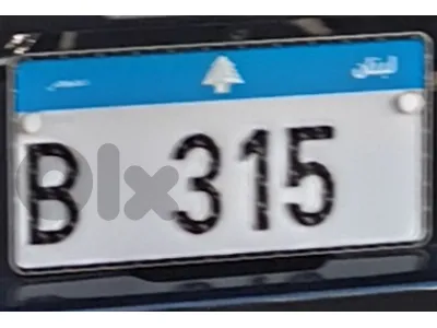 plate number B 315