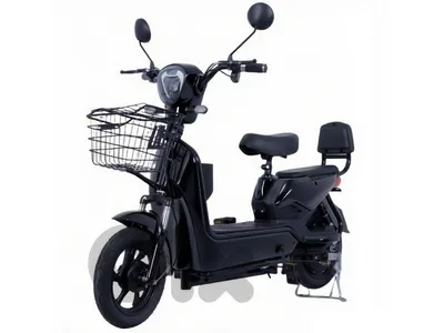 New E Bike 350w