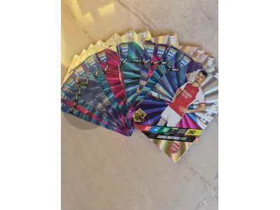 Panini football cards