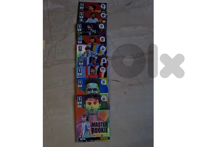 Panini football cards