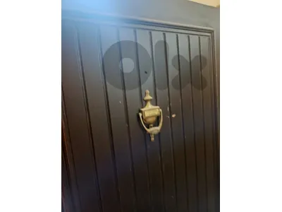 Wooden entrance door