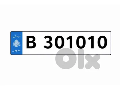 Special 6 Digits Car Plate Number