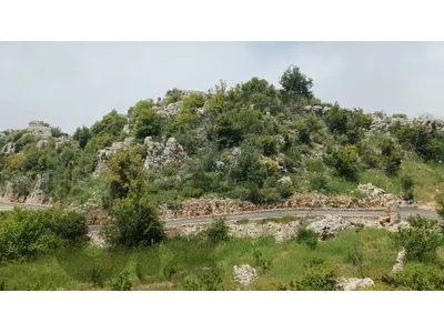 land for sale in Douma أرض"لقطة" للبيع في دوما