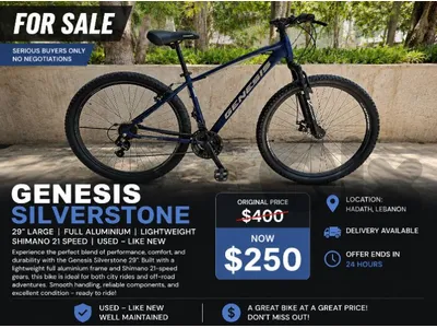Bicycle 29 inch