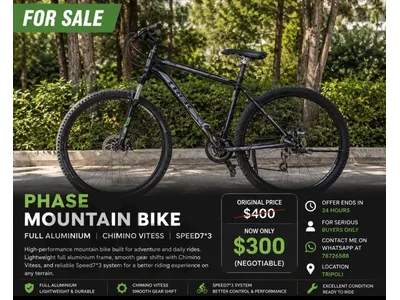 phase mountain bike