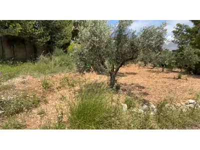 Land for sale on Al mejdel Koura
