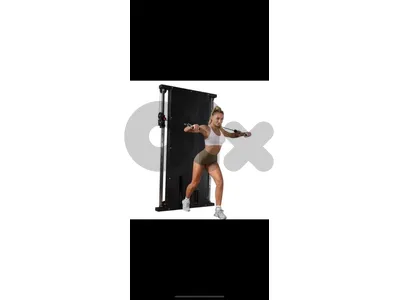 wall-mounted dual cable station designed for space-saving strength training