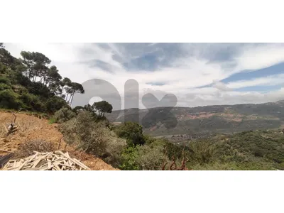 Land for sale in Dmit Chouf Open view | 3000 sqm دميت الشوف