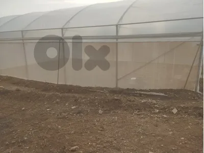 للبيع خيمة زراعية greenhouse