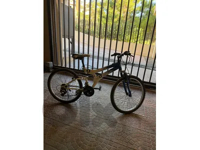 GITANE 🔥special edition