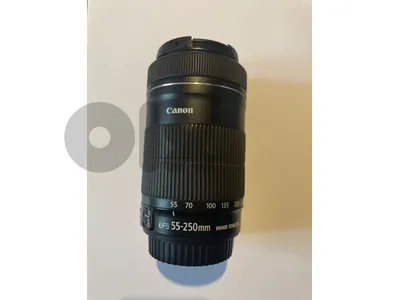 Canon EF-S 55-250mm f/4-5.6 IS STM Lens