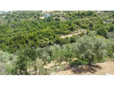land for sale in Bchaaleh ارض للبيع في بشعلة
