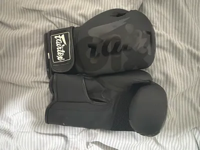 Fairtex Muay Thai Boxing Gloves Black