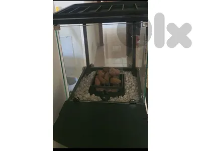 stove Gas Heater