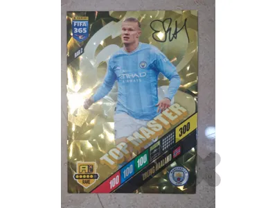 Panini football cards