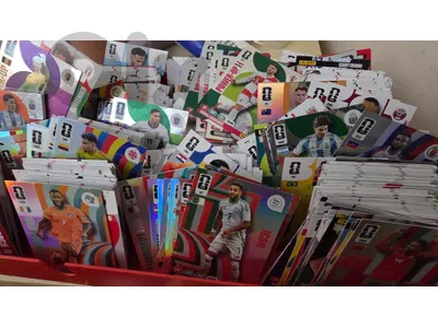 PANINI WORLD CUP CARDS