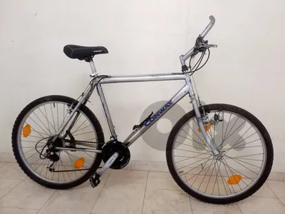 Conway bicycle
