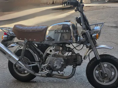 Gorilla 88 cc takegawa