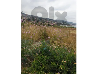 land for sale in jbeil fidar