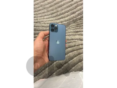 صيدا او بيروت