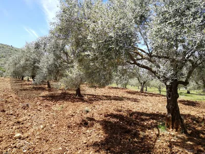 Land for sale أرض للبيع