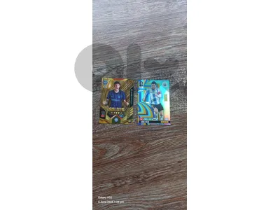 panini panini