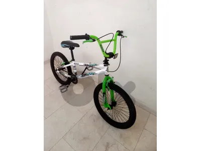 بسكليت اوروبي