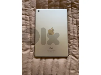 iPad Mini 2